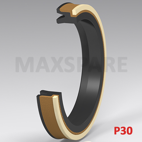 P303208301