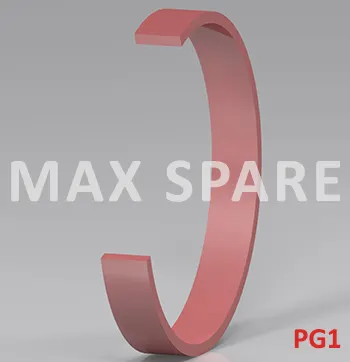 PG10097007