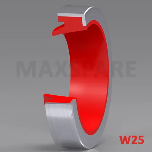 W250481001