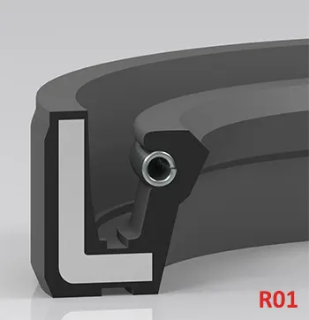 R010