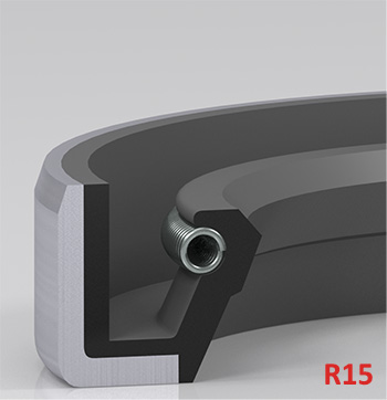 R150120847