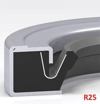 R251490801