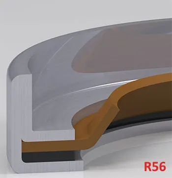 R560456909