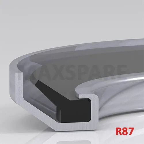R870502001